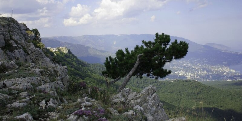 землетрясение в крыму. землетрясение в алуште 1927 год. землетрясение 11 сентября 1927 года в крыму. землетрясение в крыму в 1927 году. землетрясение в ялте в 1927 году.