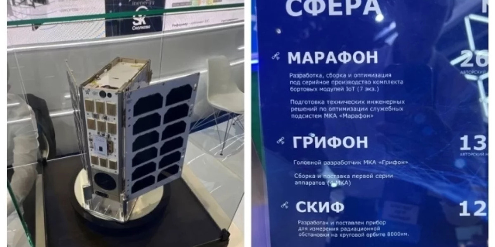 Хамстер комбат кто создатель