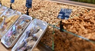 Россия ограничила ввоз всей подкарантинной продукции из&nbsp;Армении с&nbsp;12 июня|
