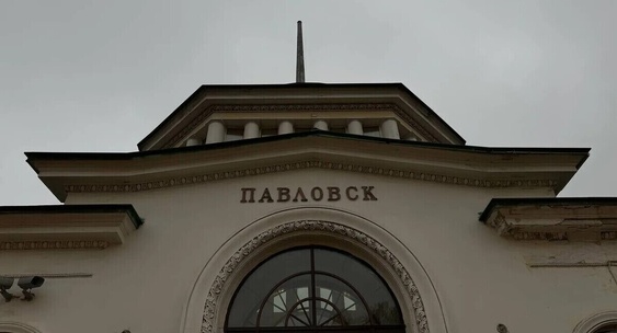 Ураган в&nbsp;Павловском парке повалил более 200 вековых деревьев|