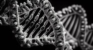 Новое исследование грозит изменить представления о&nbsp;происхождении Колумба|
