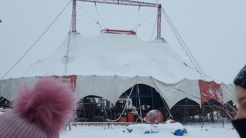 Цирк череповец. Цирк пируэт череповец. Цирк череповец у макси. Народный цирк пируэт. Цирк пируэт череповец.