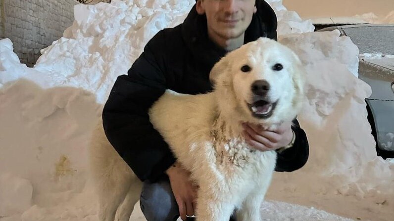 нейро пси нижний