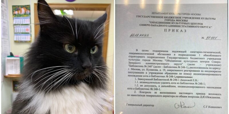 Md zen. Логотип amd zen. Архитектура zen. Md zen. Zen ава.