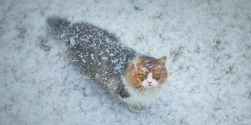 Найдите среднее арифметическое первых пяти натуральных чисел. Температура воздуха была -2 с какой стала. В воскресенье утром температура воздуха была 2. Математика 6 класс мерзляк номер 963. В воскресенье утром температура воздуха была минус 2 градуса какой.