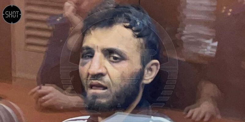 узбекские стикеры. Tcell. телеграм канал. таджикский телеграм. телеграм канал баламут.