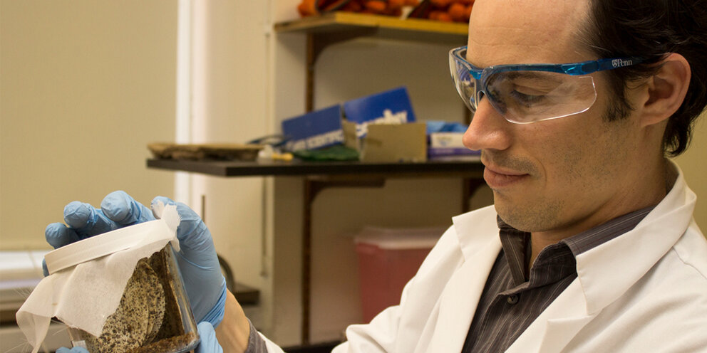 энтомология презентация. энтомолог профессия. ученый изучающий букашек. ученый изучающий букашек. изучение насекомых.