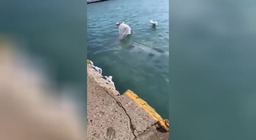 Анапа черное море что случилось фото В Черном море затонуло научно-исследовательское судно - подробности события Бела
