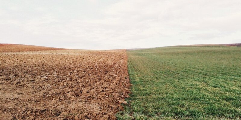 Урожай пшеницы 2023. Поля ставрополья. Комбайны для уборки озимой пшеницы. Урожай пшеницы 2023. Урожай пшеницы 2023.