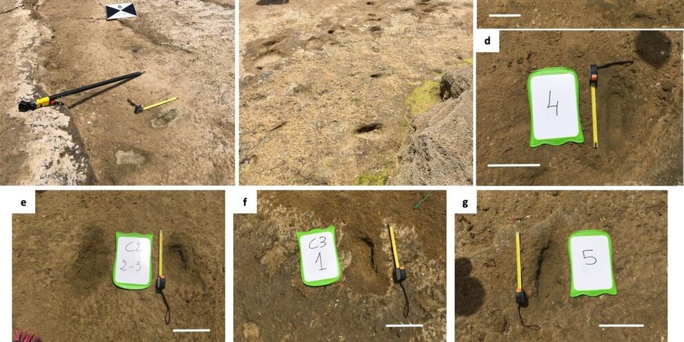5 предложений о зайце. Предложение про зайца. Придумать предложение на тему следы. Русский язык 3 класс стр 75. Предложение со словом след.