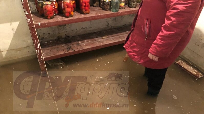 Подвал курск. Подвал курск