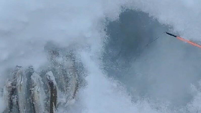 рп 5 стародубское сахалинская область