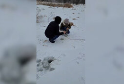 Региональные программы модернизации здравоохранения реализовали:. Программа 1 региональный. Структура региональной программы. Программа 1 региональный. Модернизация системы здравоохранения.