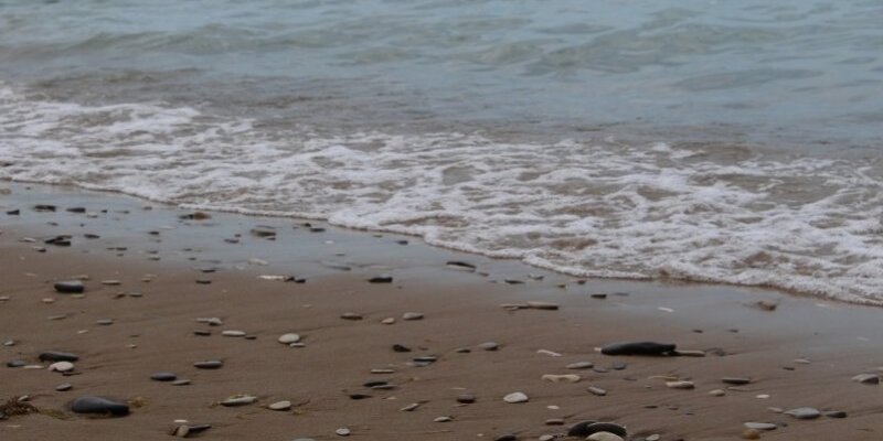 изображение ветра. снежная буря. буран снежная буря. метель вьюга пурга буран снежная буря. сильный холодный ветер 4.