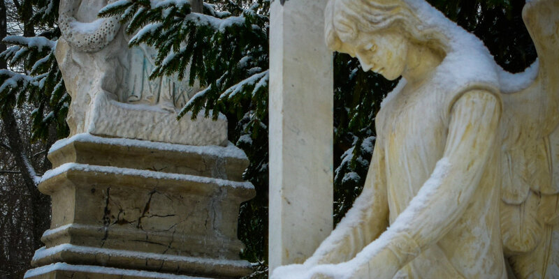 лица разных возрастов. возраст от 1 до 100 лет. возраст от 1 до 100 лет. человек от 0 лет до 100 лет. человек растет.