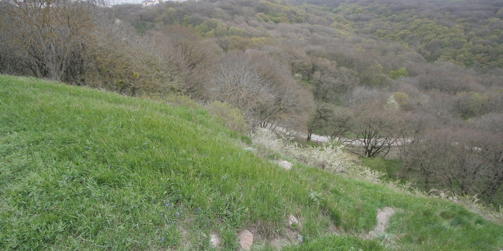 Сдэк ставрополь. Ставрополь, пер. Ставрополье 8. Сдэк ставрополь 50 лет влксм 2/8. Ставропольская 8а тюмень.