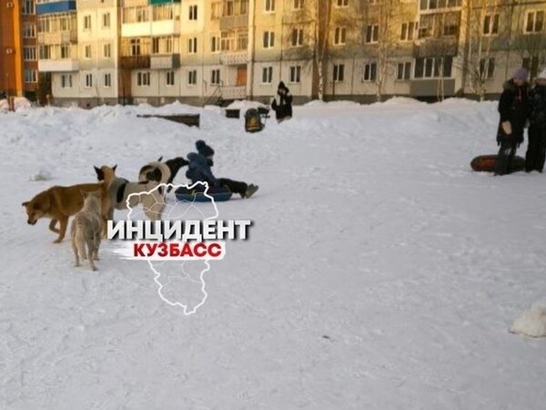 Секции красный камень киселевск. Фок киселевск красный камень. Красный камень киселевск с высоты. Оздоровительный комплекс красный камень киселевск. Киселевск красный камень чп сегодня.