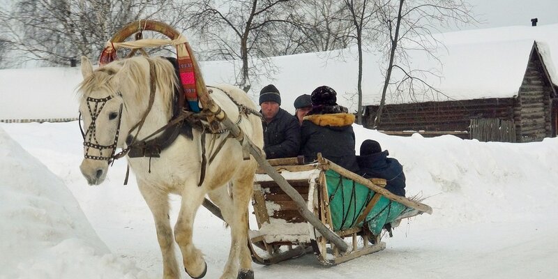 Конные прогулки в санях