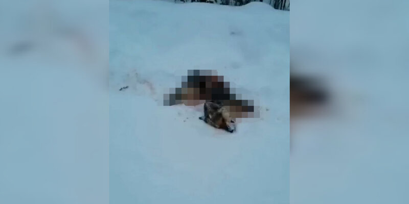 Популярные трансляции в одноклассниках. Трансляция в стиме. Почему не идет трансляция. Заблокировали трансляцию в ютубе. Включить прямую трансляцию.