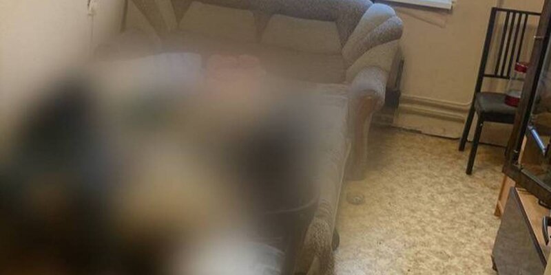 Дешевые комнаты. Подмосковье химки квартиры. Недорогие квартиры на севере москвы. Дешевая квартира. Дешевая квартира.