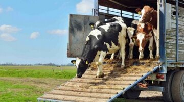 дуговой реактор концепт арты. новоладожский племенной завод. насосно перекачивающая станция теплоснабжения. завод моторных масел. маслоэкстракционный завод амурский.