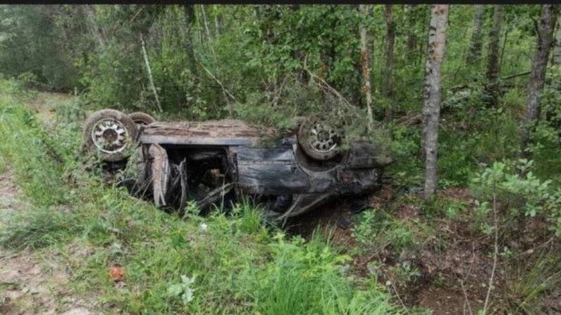 Новости брянска сегодня последние свежие события брянской