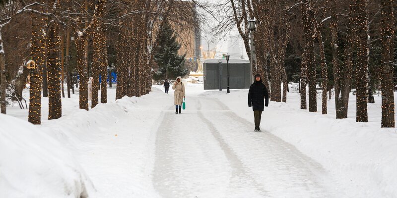 малоснежная зима. ранняя зима фото. прощание с осенью. заканчивается теплая но сухая зима. зимняя фотосессия.