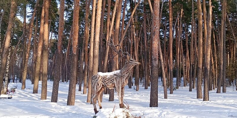 Солотча рязань. Санаторий имени ленина солотча. Солотча ул почтовая 4 каток. Рязань поселок солотча. Санатория солотча каток.