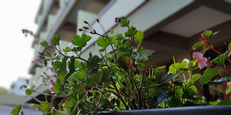 Условия раннего бронирования анекс тур 2024. Раннее бронирование 2022. Акция раннее бронирование. Визитка анекс тур. Анекс тур рекламный буклет.