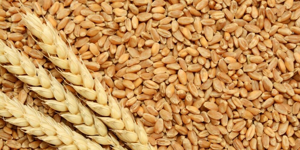 Приостановка экспорта