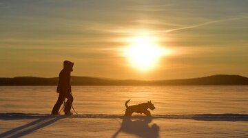 когда будет вспышка на солнце в 2024. когда будет вспышка на солнце в 2024. солнечные вспышки. солнце в космосе. солнце в космосе.
