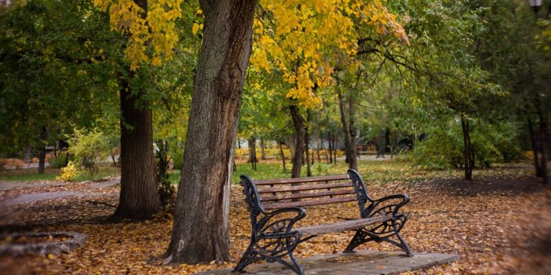 Скамейка в парке гагарина