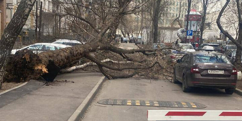 14 15 16 апреля