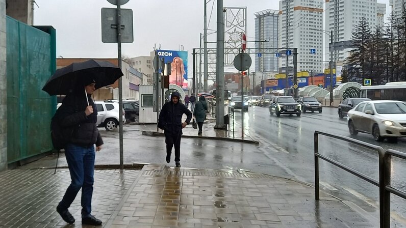 Где прошел дождь