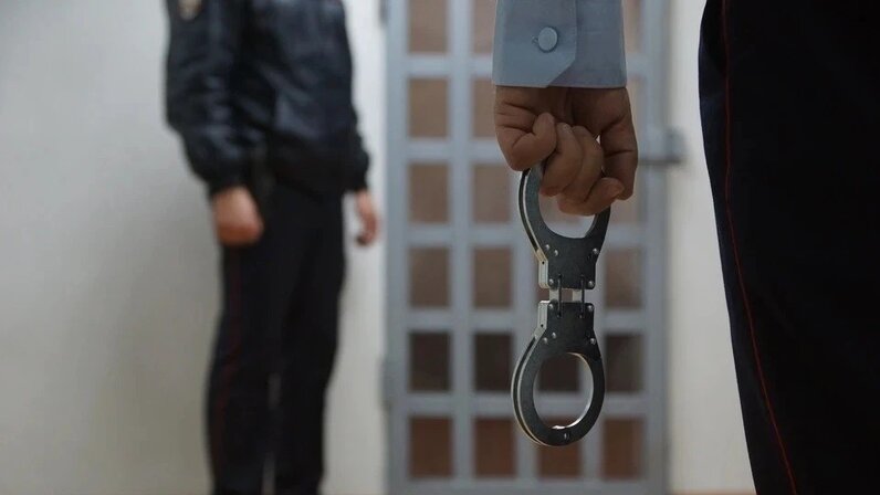 вор карманник. кража и похищение. совершение преступления. похищение девочек заманили машину. разбой.