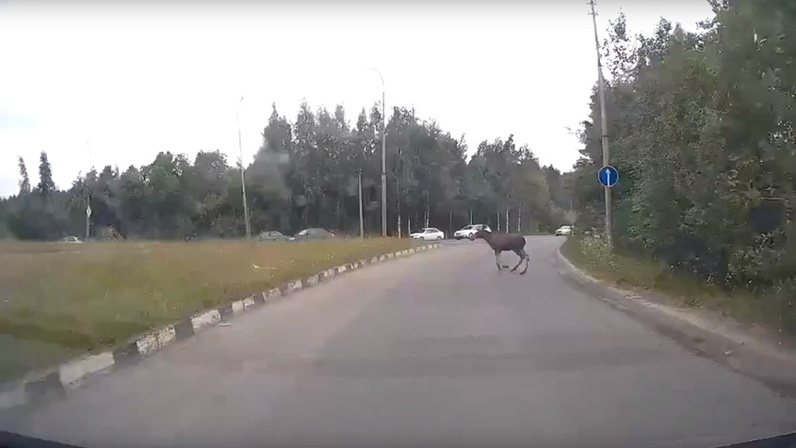 Камера суоярвское шоссе