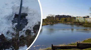 охрана водоемов. сброс охрана. Line protection relay реле sil-a. инструкцию пользования сsatel. охранная сигнализация чоп.