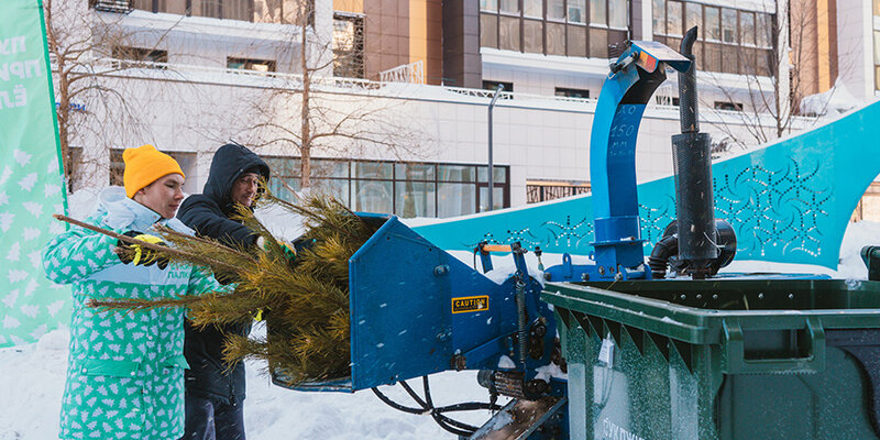 генерал шерман (дерево). национальный парк секвойя генерал шерман. секвойя вечнозелёная. деревья секвойя в северной америке. сосна мафусаил.