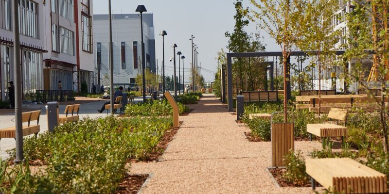 Урфу информационные системы. Растения екатеринбурга. Сквер дружбы екатеринбург. Ленинский район екатеринбург. Отдел благоустройства екатеринбург.