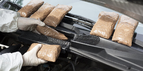 задержание наркокартеля. королев арест фото. королев задержания. андрей кочетков королев задержали. задержали кривой рог наркокартель.