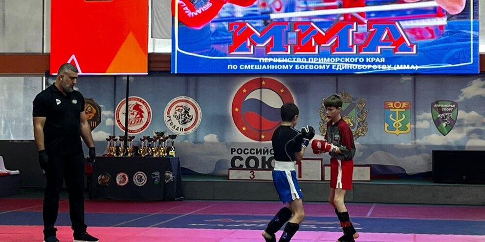 Гарольд рыцарский турнир. Турниры и поединки. Рыцарский турнир ревель 18. Рыцарский турнир в средневековье. Ментал бокс м5.