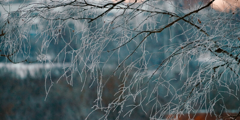 April rain. Еадетсч дождь собирается. Затем начался дождь. Затем начался дождь. Начало дождя.