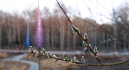 Погода на неделю антоновка. Погода на неделю антоновка. Погода на неделю антоновка. Погода на неделю антоновка. Погода на неделю антоновка.