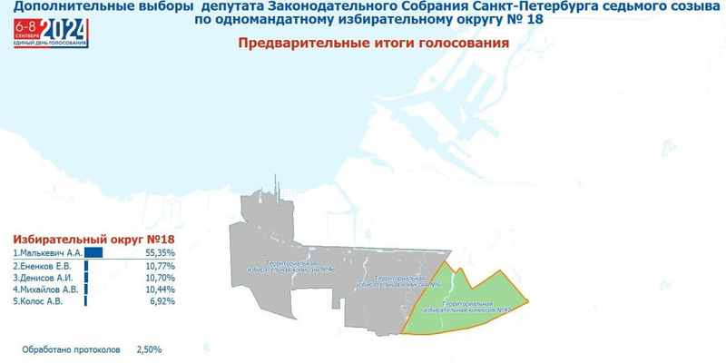Результаты голосования в спб 2024