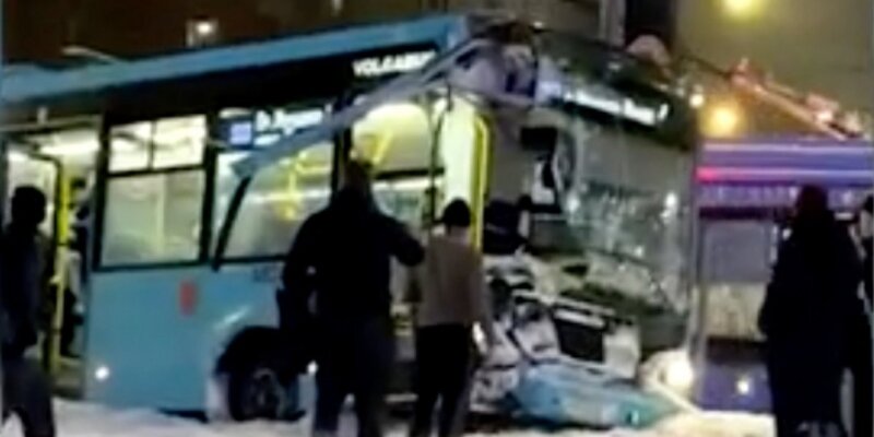 Аск рентген идель. Львовская 10 ветклиника. Два сердца ветеринарная клиника. 1. Львовская 10 спб ветклиника.