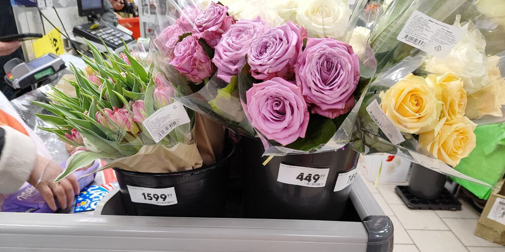 Розарий в нескучном саду. Корзина микс цветов роз. Розарий ландшафтный. Магазин вокруг роз. Гюлистан-сад роз.