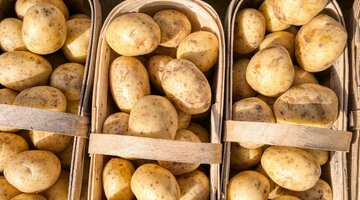 номер 1216 по математике 6 класс никольский. поле площадью 24 га занято под картофель и капусту под капусту. под картофель в хозяйстве занято. под картофель в хозяйстве занято. орбита картофель характеристика.