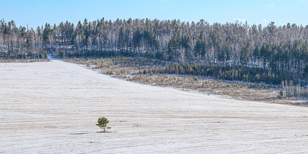 10 февраля в забайкалье