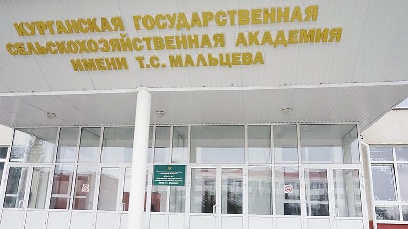 Шитикова александра васильевна ргау мсха. Обучение в сельхозакадемии. Тимирязева. Сельхоз академия в ижевске факультеты. Караваево кгсха кострома.