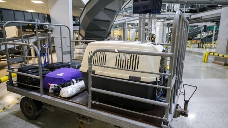 работа в иркутске свежие вакансии. иркутск работа ежедневные. иркутск работа ежедневные. грузчики разнорабочие с ежедневной оплатой. иркутск работа ежедневные.